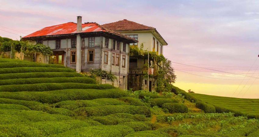 Uçaklı Karadeniz Yaylalar ve Batum Turu | 3 Gece Otel Konaklamalı