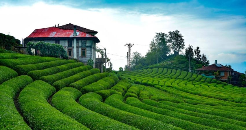 Uçaklı Karadeniz Yaylalar ve Batum Turu | 3 Gece Otel Konaklamalı