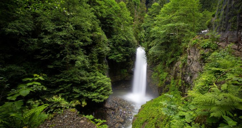 Uçaklı Karadeniz Yaylalar ve Batum Turu | 3 Gece Otel Konaklamalı