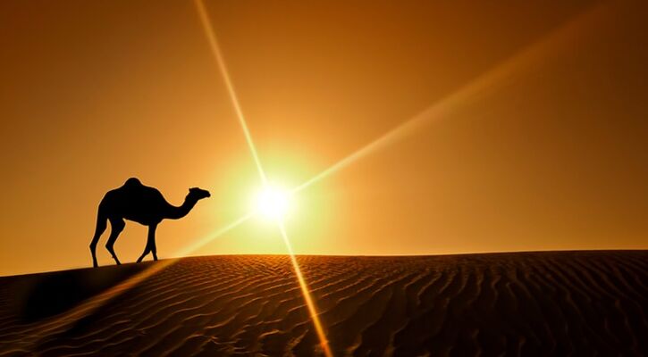 VİZE DAHİL DUBAİ TURU Ajet ile 3 gece